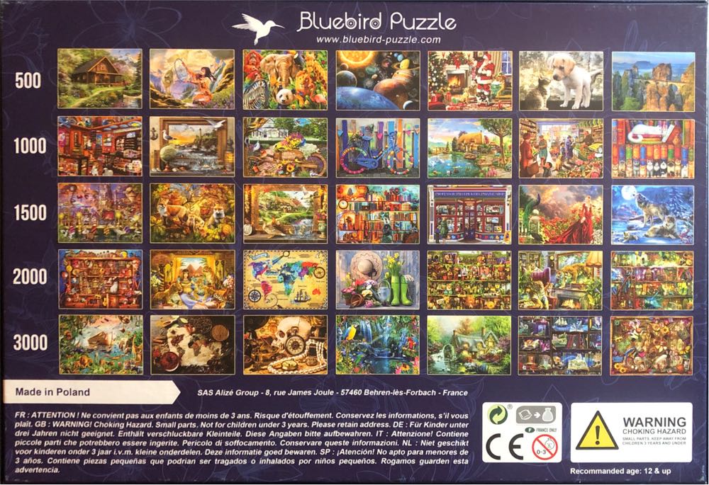 Library Adventures In Reading - Bluebird puzzle collectible [Barcode 3663384703133] - Main Image 2