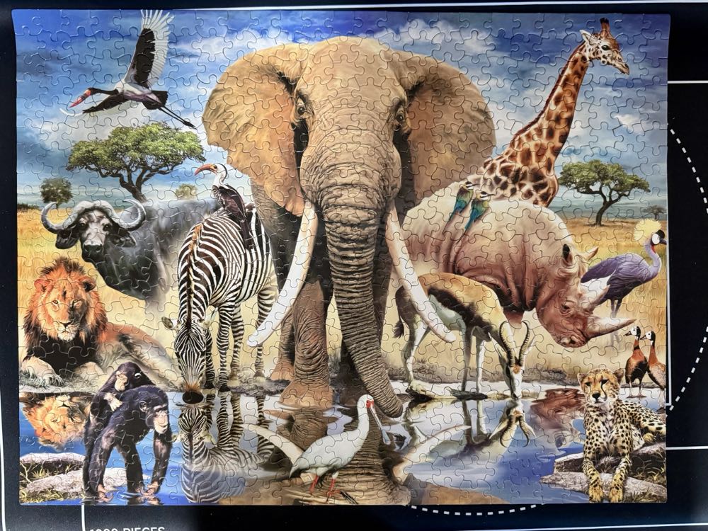 African Oasis* - White Mountain Puzzles puzzle collectible [Barcode 724819249695] - Main Image 4