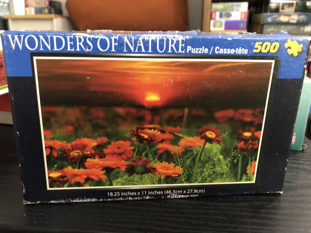 Pepsi Cola Special Delivery