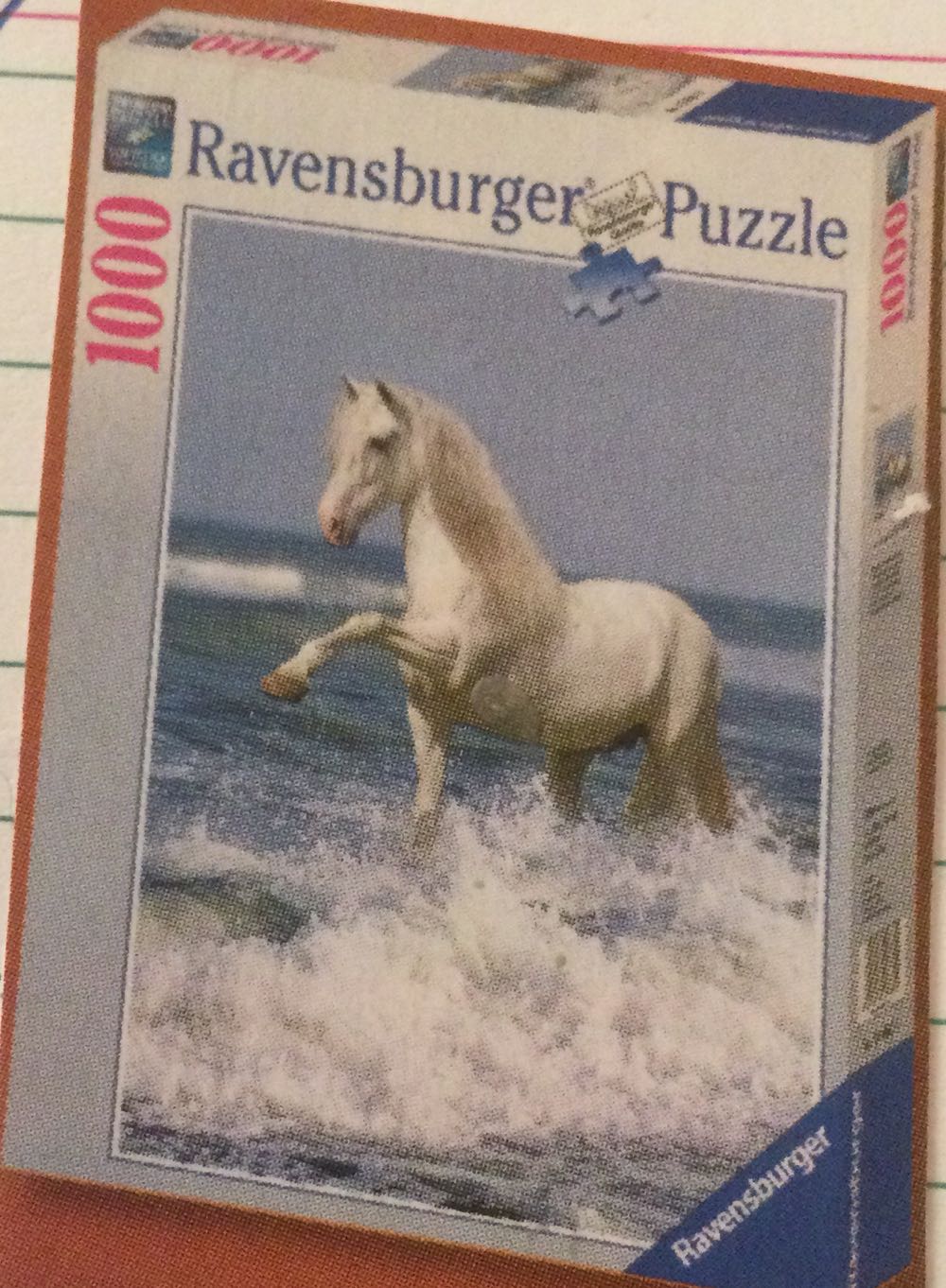 Balloon Over The City