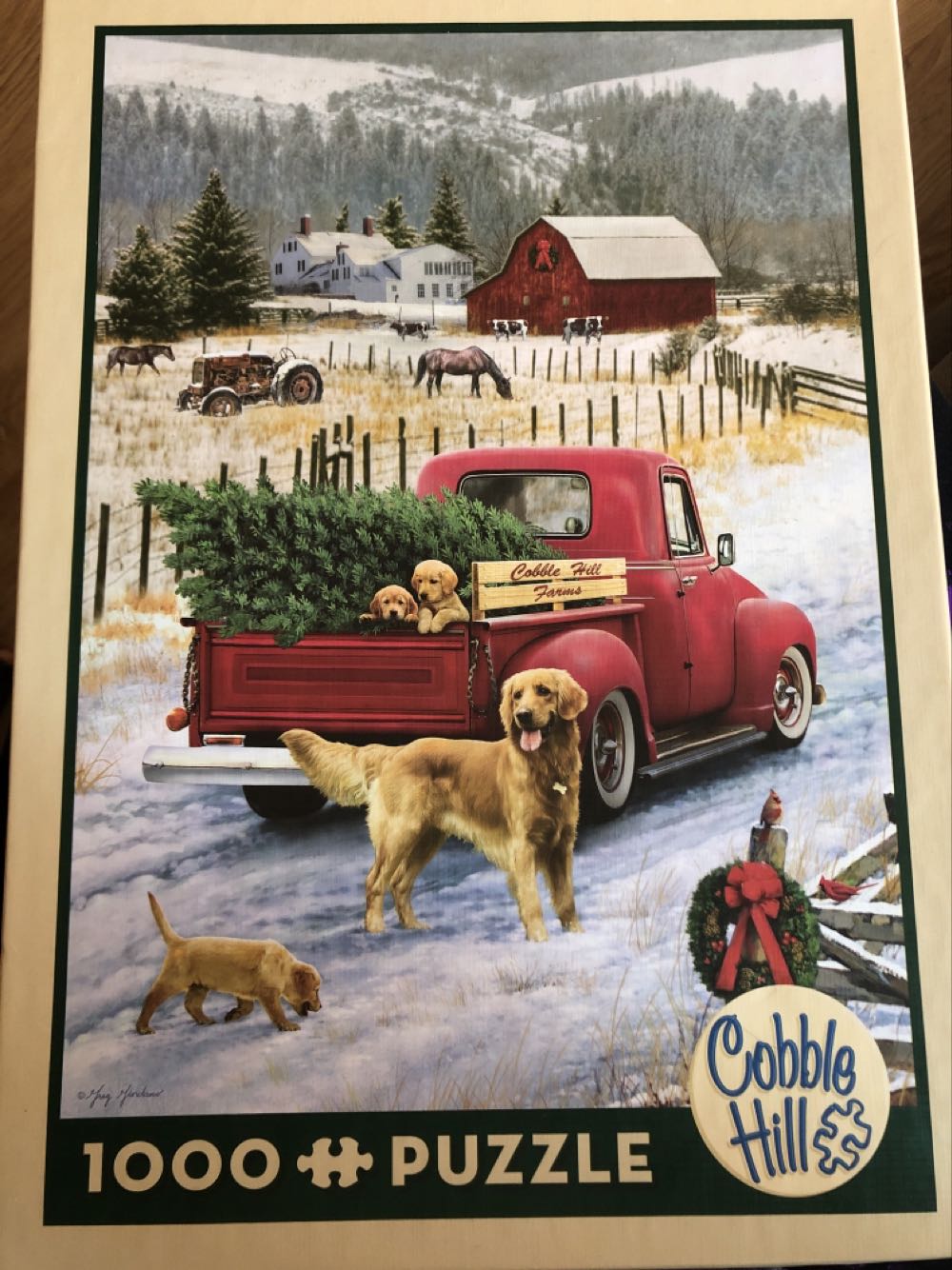 Hummingbirds And Fuschia