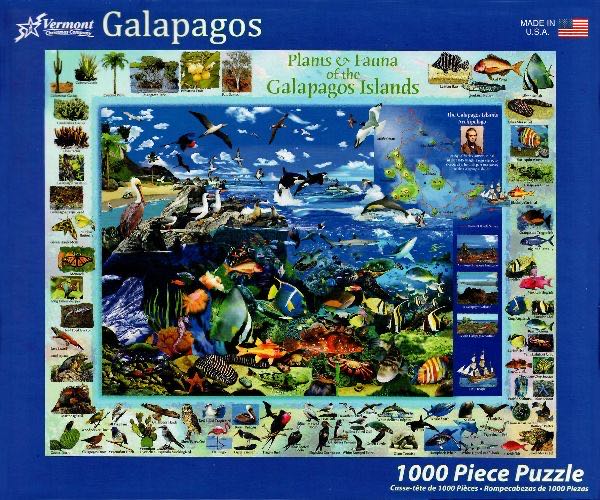 Moonlit Night - FOR SALE OR TRADE