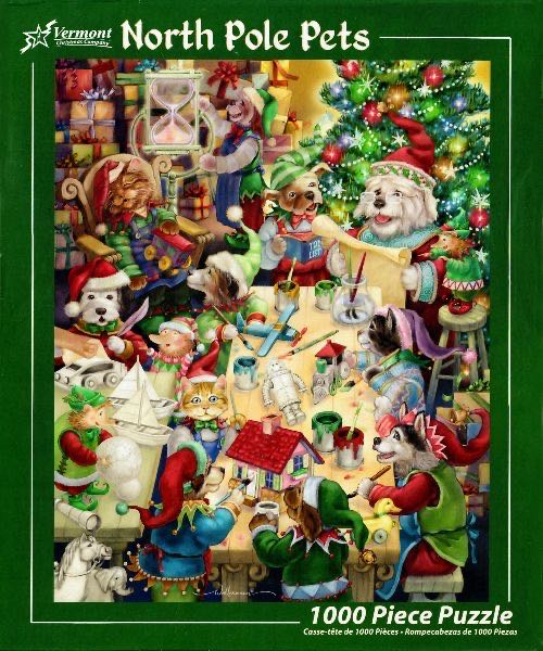 Camping Adventure •