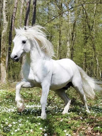 The After Party (1) Keep