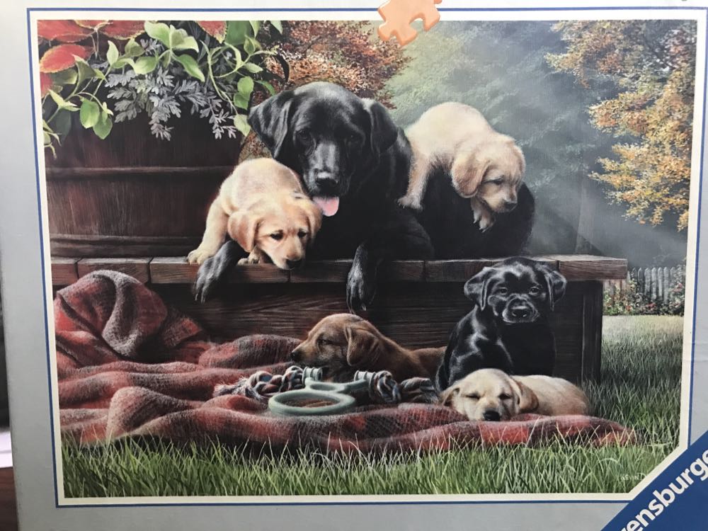 Winnie The Pooh And Honey Tree