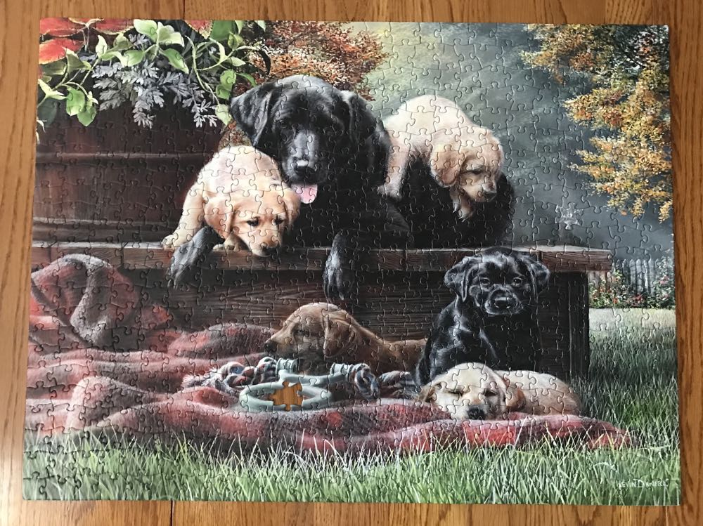 Washington D.C. 🇺🇸