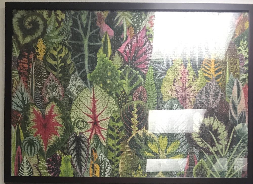 Houseplant Jungle - Galison puzzle collectible [Barcode 9780735359611] - Main Image 3
