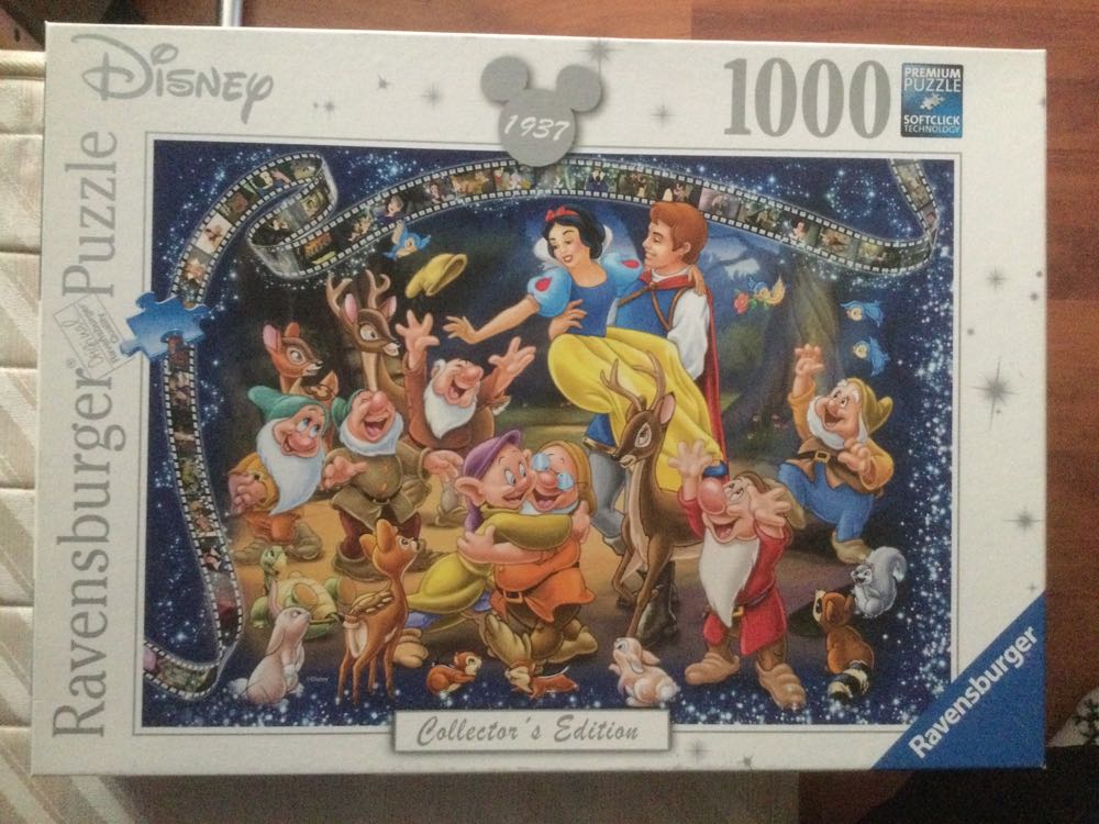 Amusement Park Rides