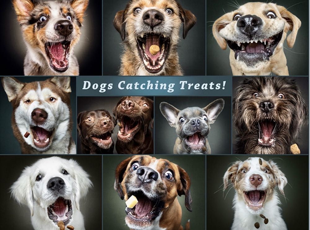 Catching the Perfect Treat - Buffalo puzzle collectible [Barcode 079346173358] - Main Image 2