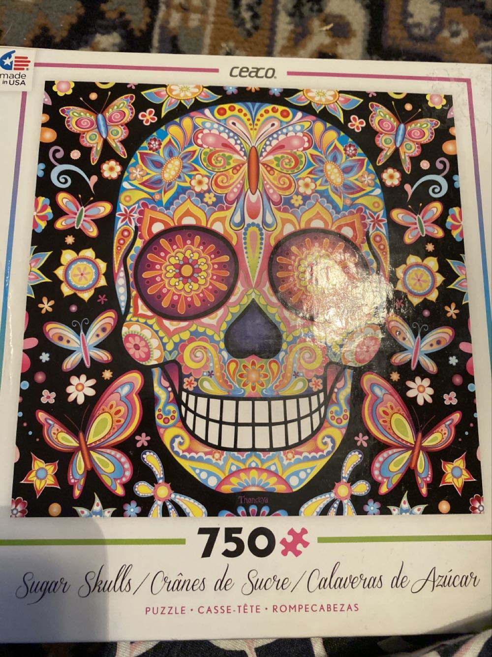 Amusement Park Rides