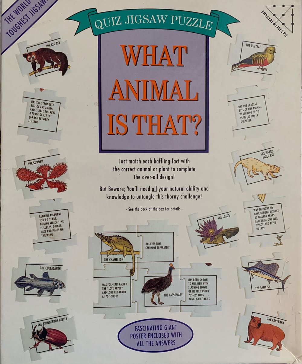 Amusement Park Rides