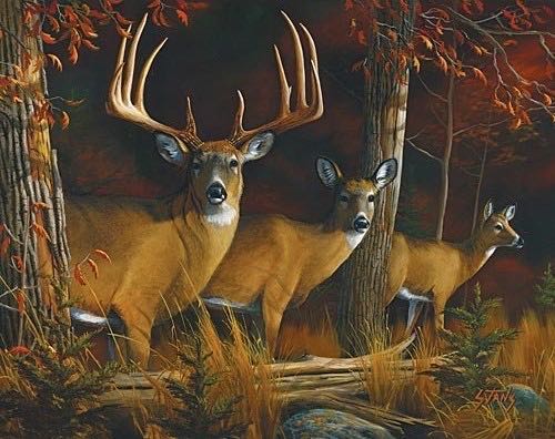 Holiday Cookies from Minnesota