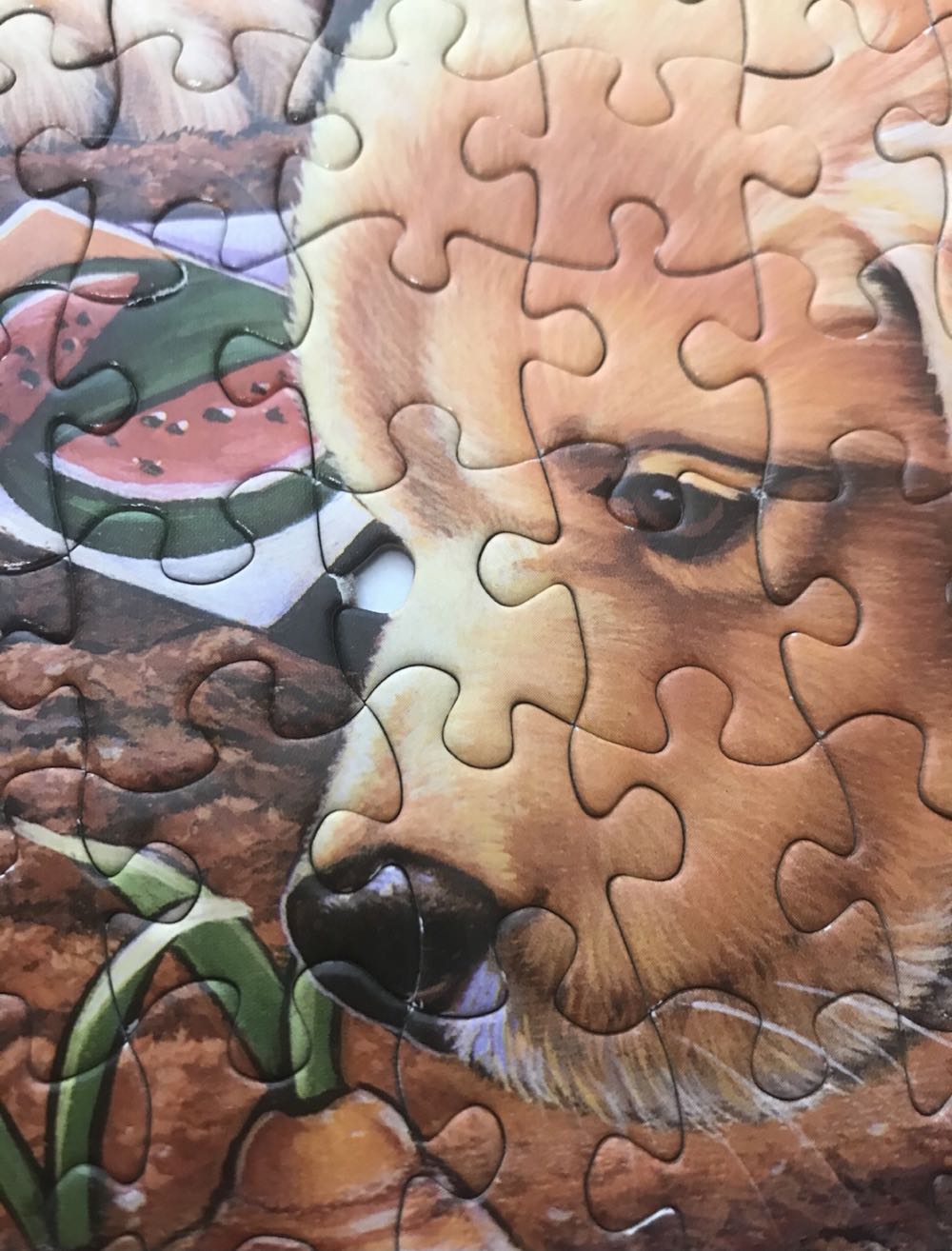 Helpful Garden Paws - Sur-Lox puzzle collectible - Main Image 3