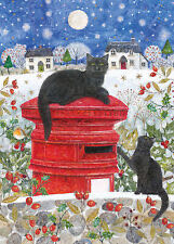 St Augustine - 494, 10/25/23