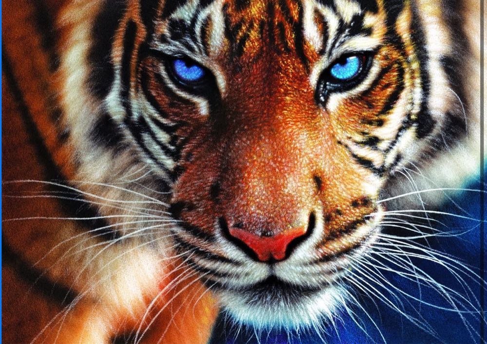 Blue Eyes - Buffalo puzzle collectible [Barcode 079346024810] - Main Image 2