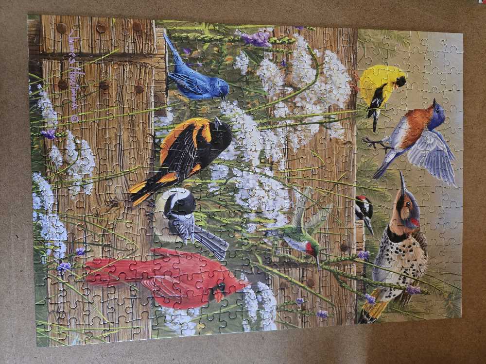 Songbird Menagerie - Buffalo Games 🇺🇸 puzzle collectible [Barcode 079346024964] - Main Image 3