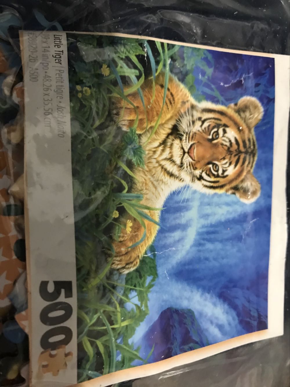 Mickey And Minnie In Hawaii