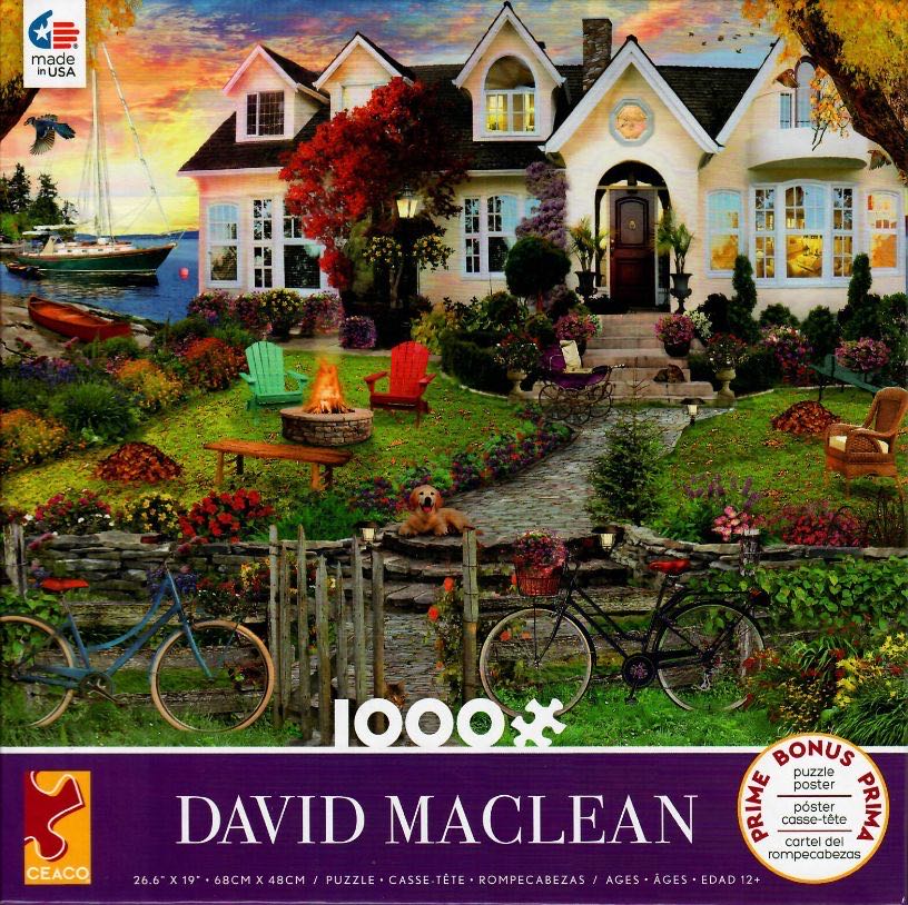 No Dogs On The Beach