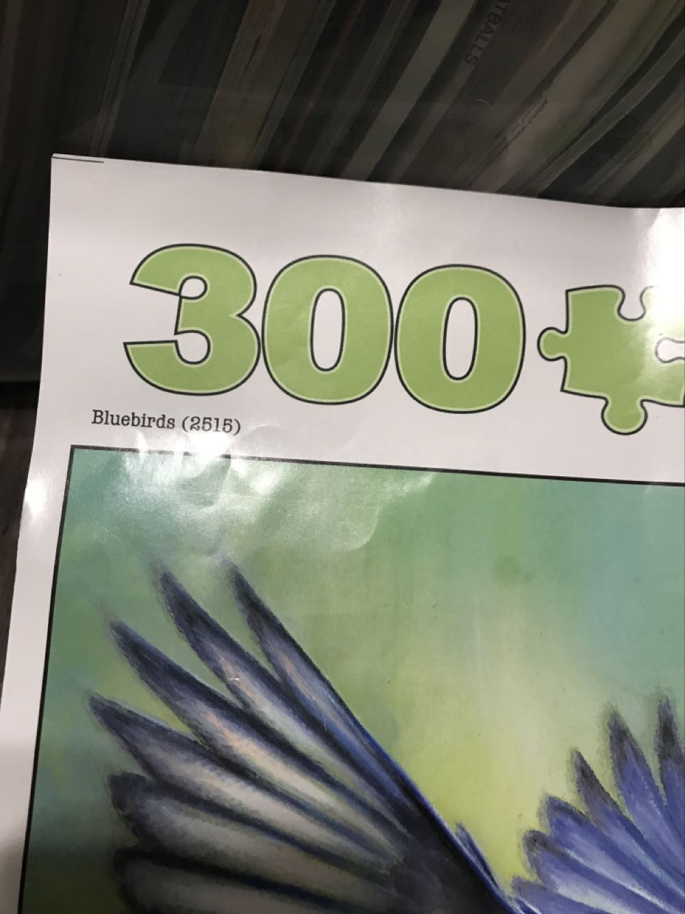 23 Bluebirds - Buffalo Games puzzle collectible - Main Image 2