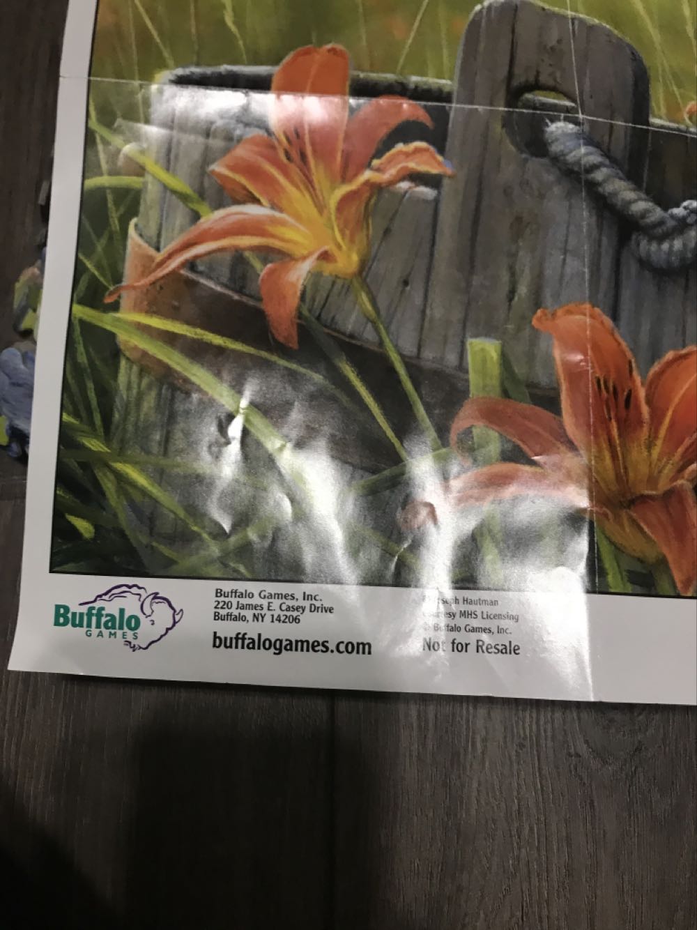 Dragon Girl - 1060, 4/15/26