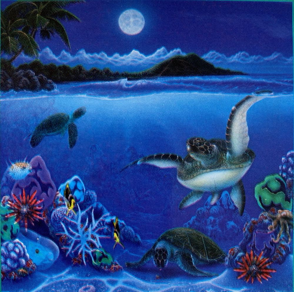 Mystic Places - Ceaco, Inc. puzzle collectible [Barcode 021081023276] - Main Image 2