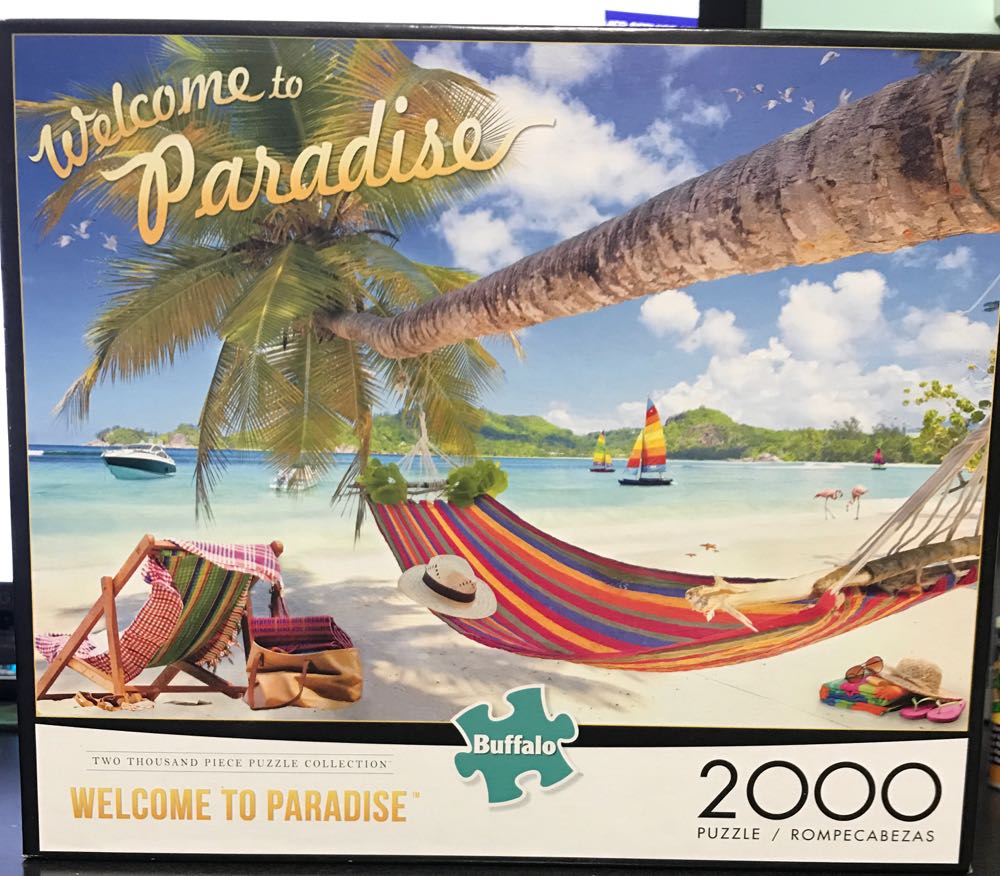 Yellowstone National Park : Old Faithful 🆕