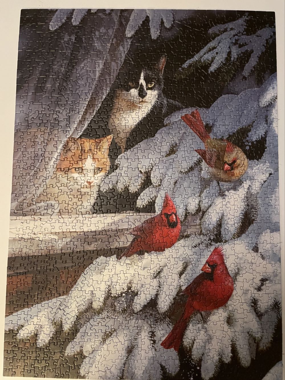 Bird Watchers - Cobble Hill puzzle collectible [Barcode 625012571715] - Main Image 2