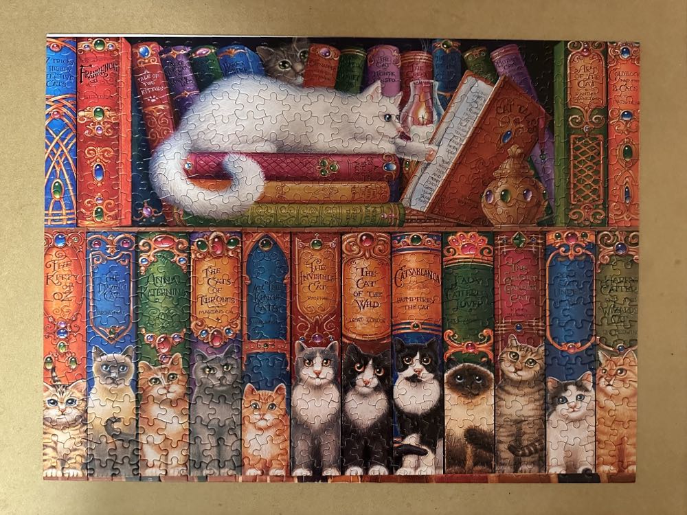 Cat Bookshelf - KI Puzzles puzzle collectible [Barcode 773392023819] - Main Image 2
