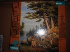 Star Wars Chewbacca And The Droids