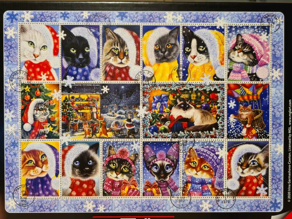 Aimee Stewart: To The Moon