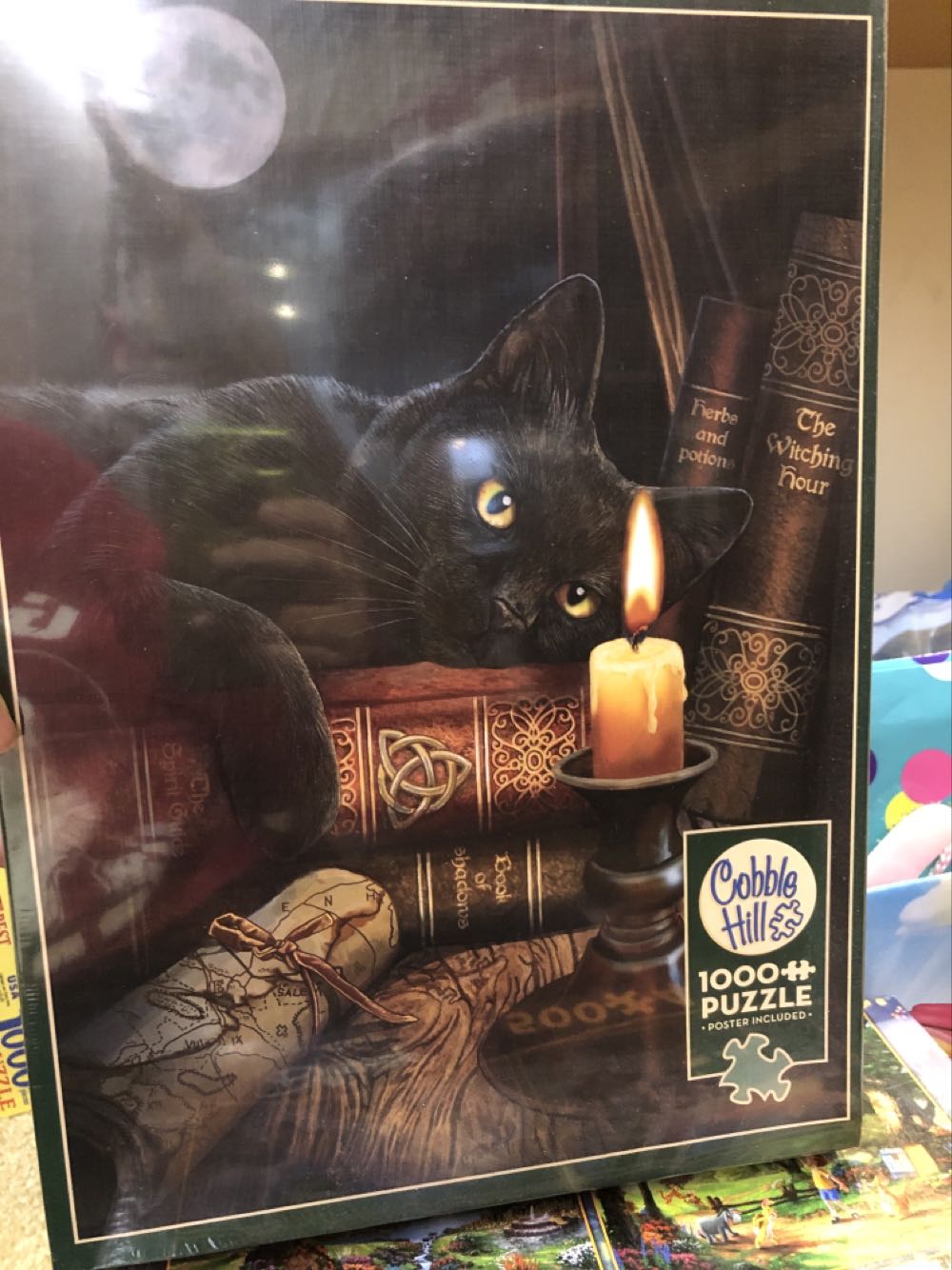 The Great Round-The-World Balloon Race