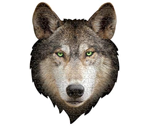 Things I Did As A Kid