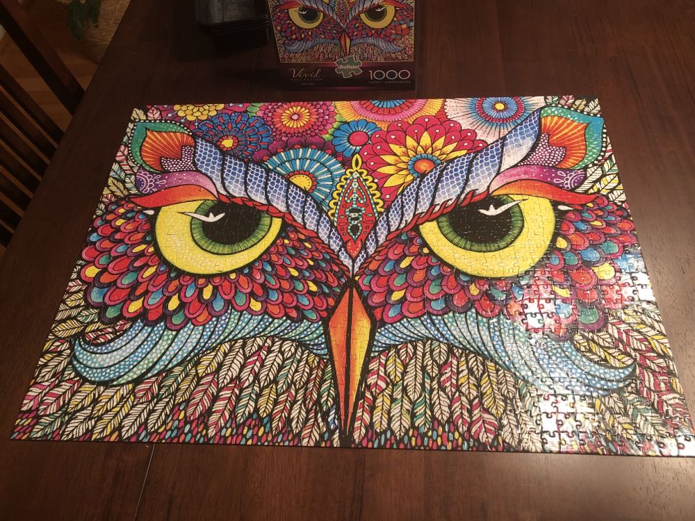 Owl Eyes - Buffalo Games puzzle collectible [Barcode 079346117062] - Main Image 2