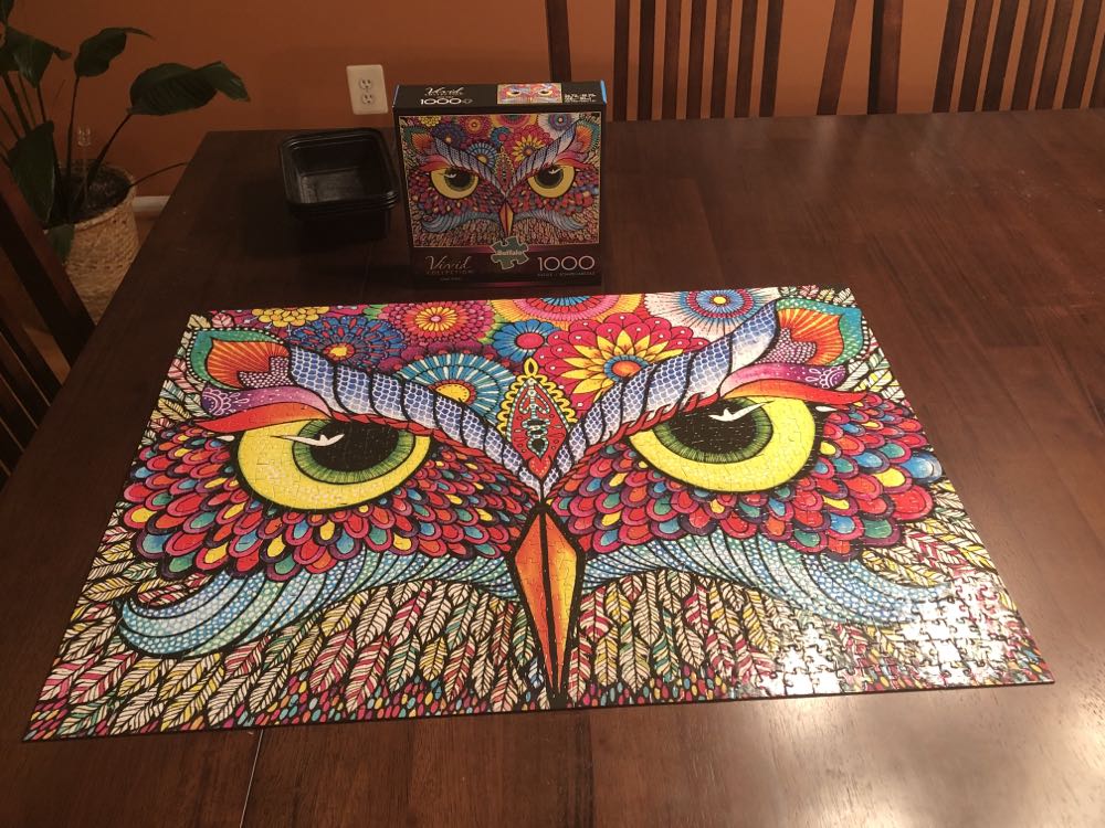 Owl Eyes - Buffalo Games puzzle collectible [Barcode 079346117062] - Main Image 3