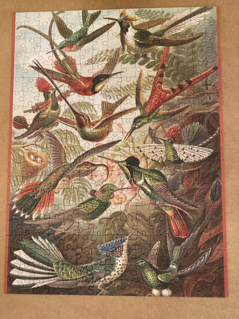 Hummingbirds - Pomegranate puzzle collectible [Barcode 717195247652] - Main Image 2