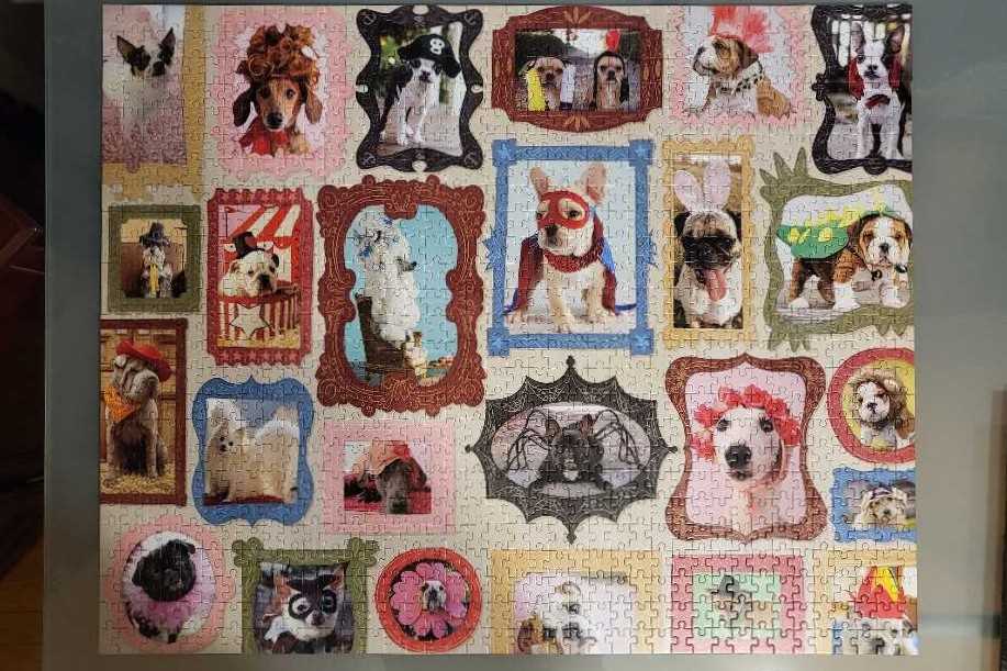 Four-Legged Costume Contest - Hallmark puzzle collectible [Barcode 763795593545] - Main Image 2
