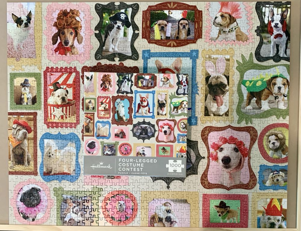 Four-Legged Costume Contest - Hallmark puzzle collectible [Barcode 763795593545] - Main Image 3