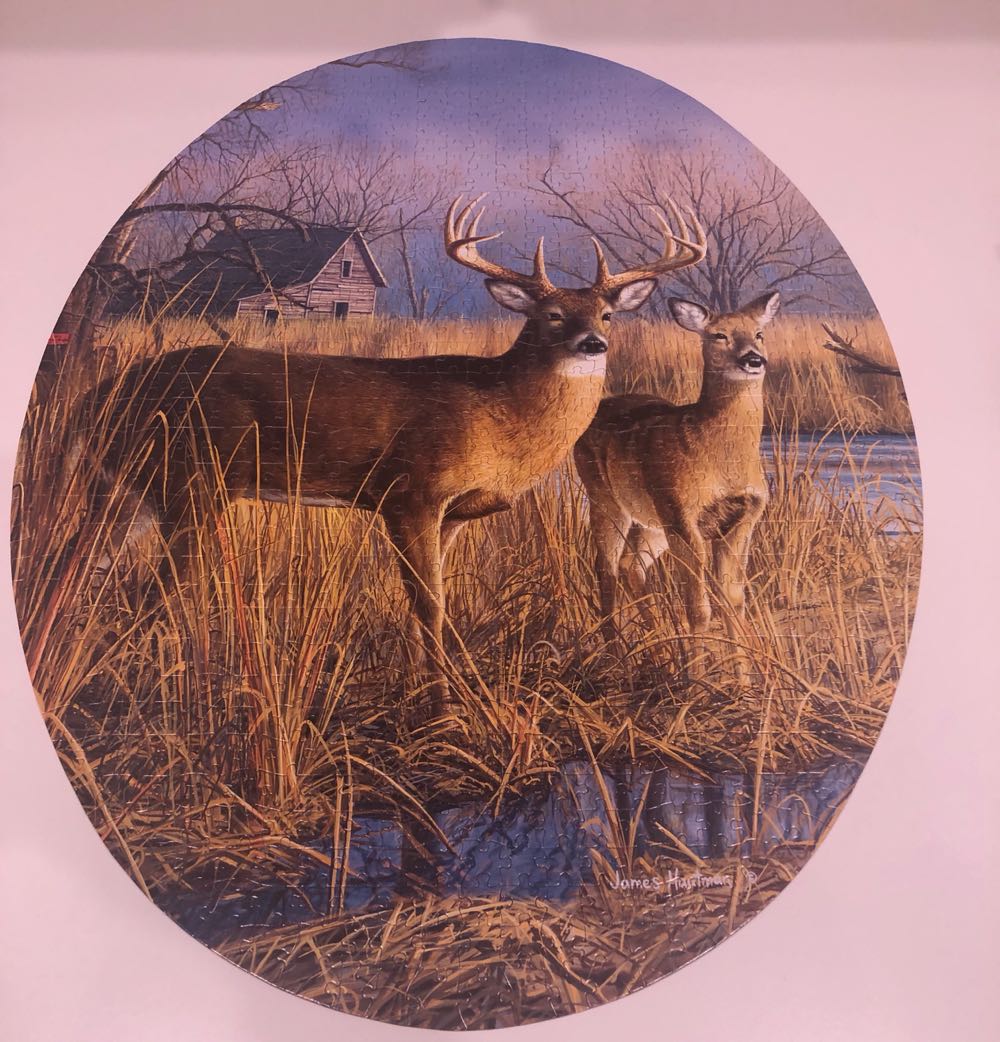 Our Side Of The River - $4 Or 3/$10 📕 puzzle collectible [Barcode 079346170180] - Main Image 2