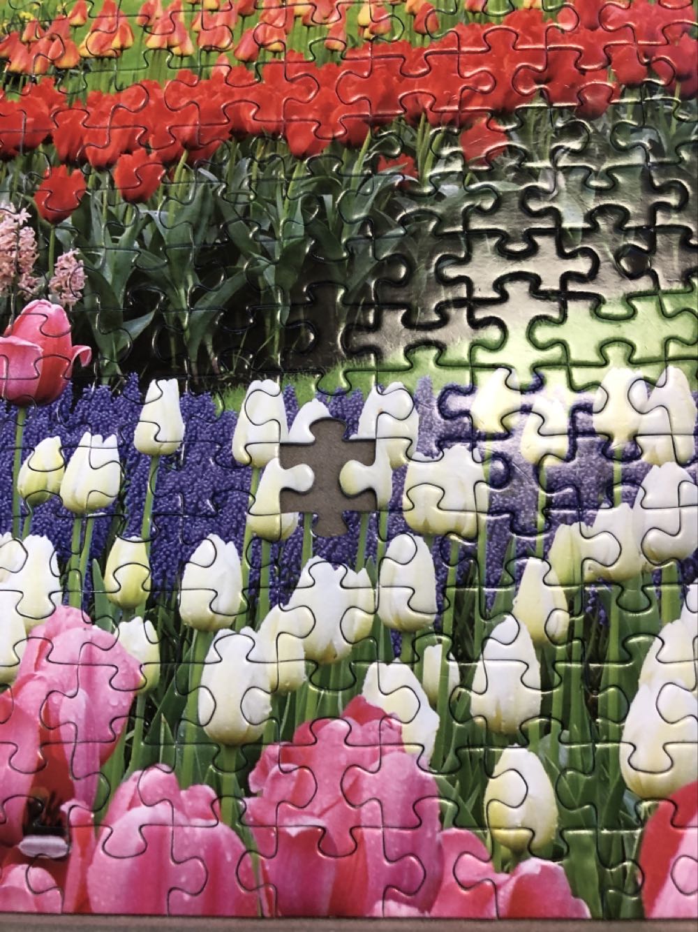 Colorful Tulips *T/S - Puzzlebug puzzle collectible - Main Image 3