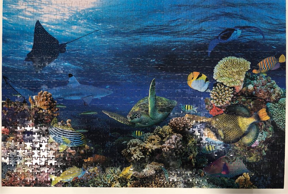 Sea Animals - Pickwoo puzzle collectible - Main Image 2