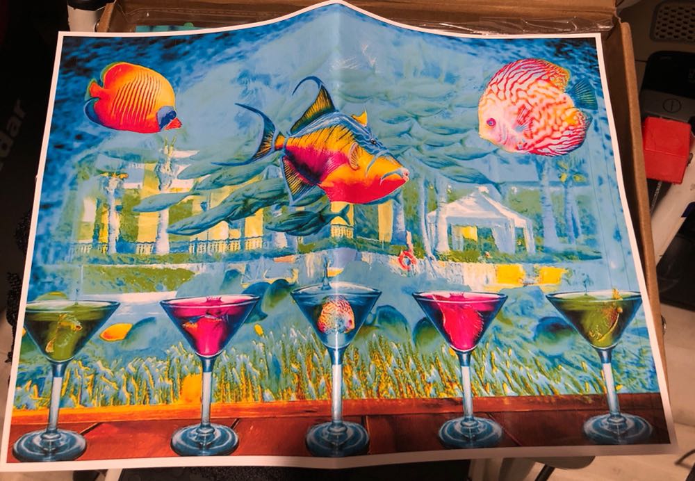 Picking The Perfect Pumpkin