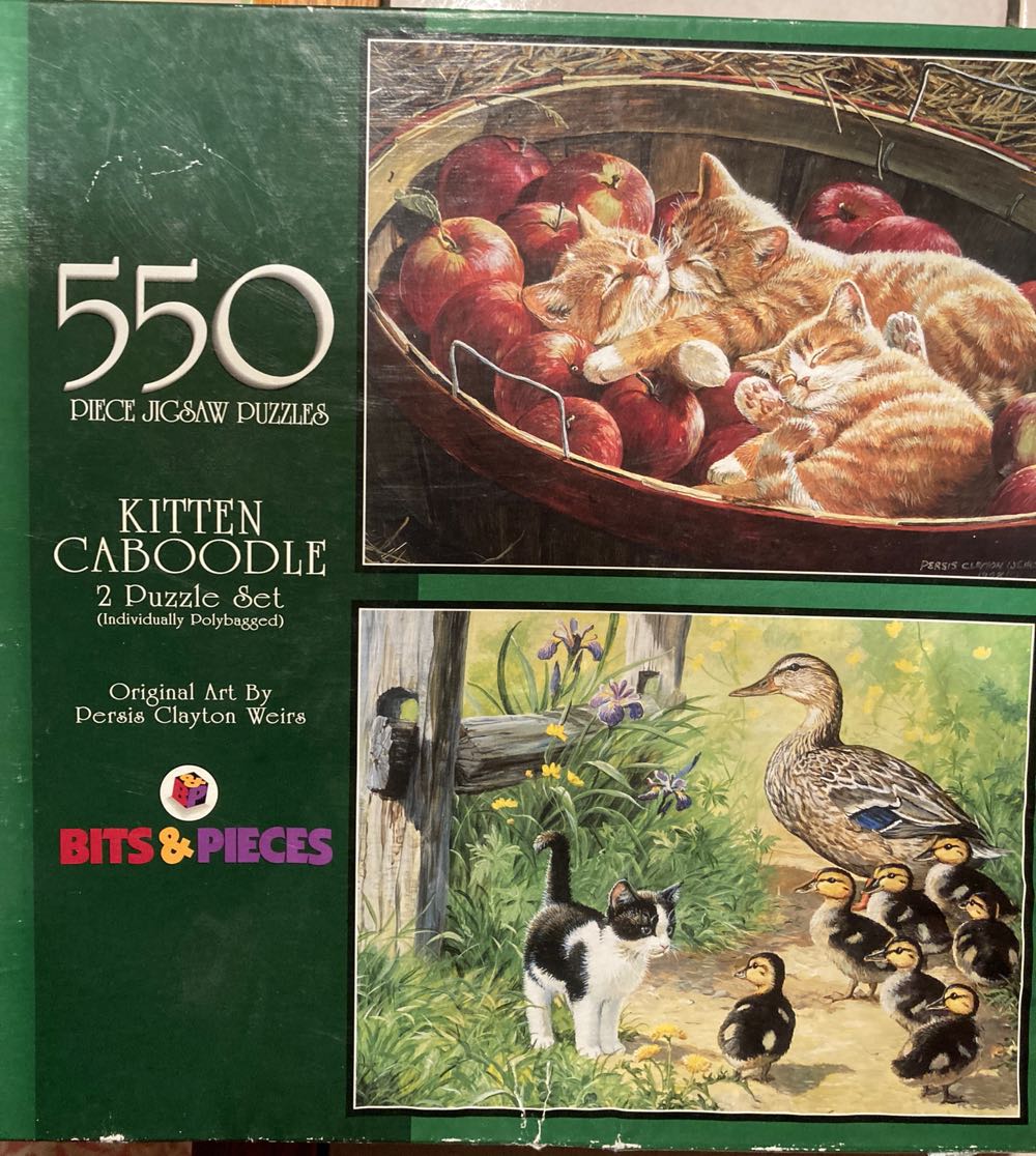 Jane Austen’s Book Club