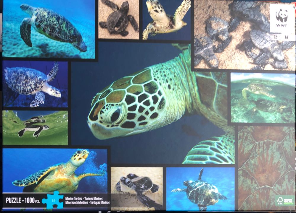 I Am With You Always