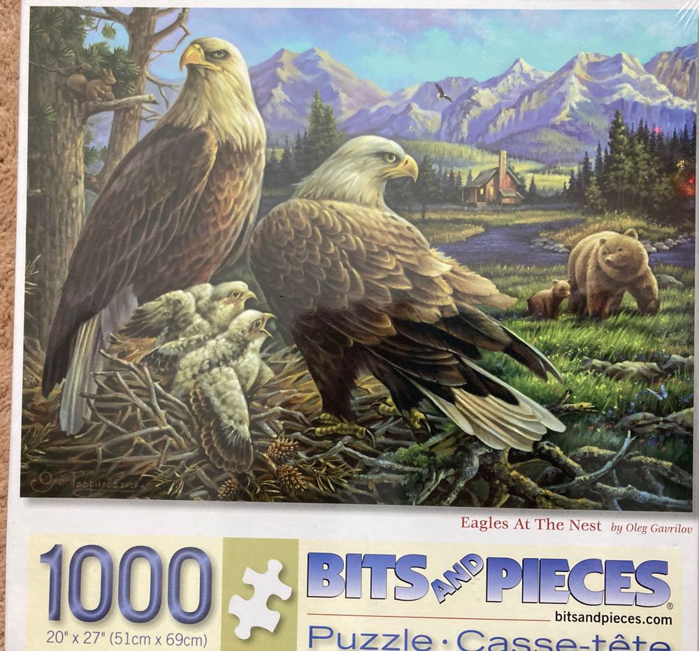 Where’s Jedidie Joe? #3 Campground Chaos