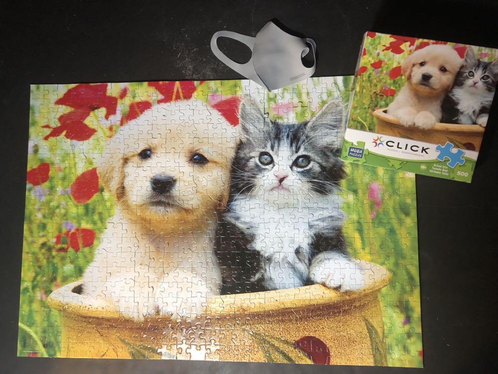 Potted Pals - Mega Puzzles puzzle collectible [Barcode 072348205089] - Main Image 2