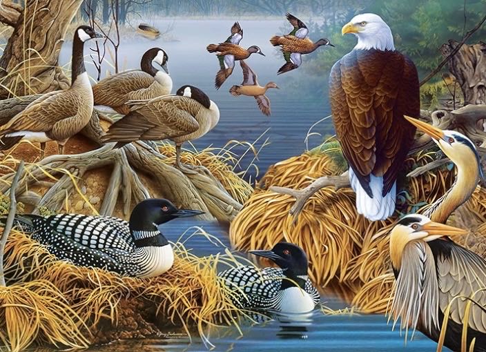 Audubon : Lake Life - MasterPieces puzzle collectible [Barcode 705988720222] - Main Image 2