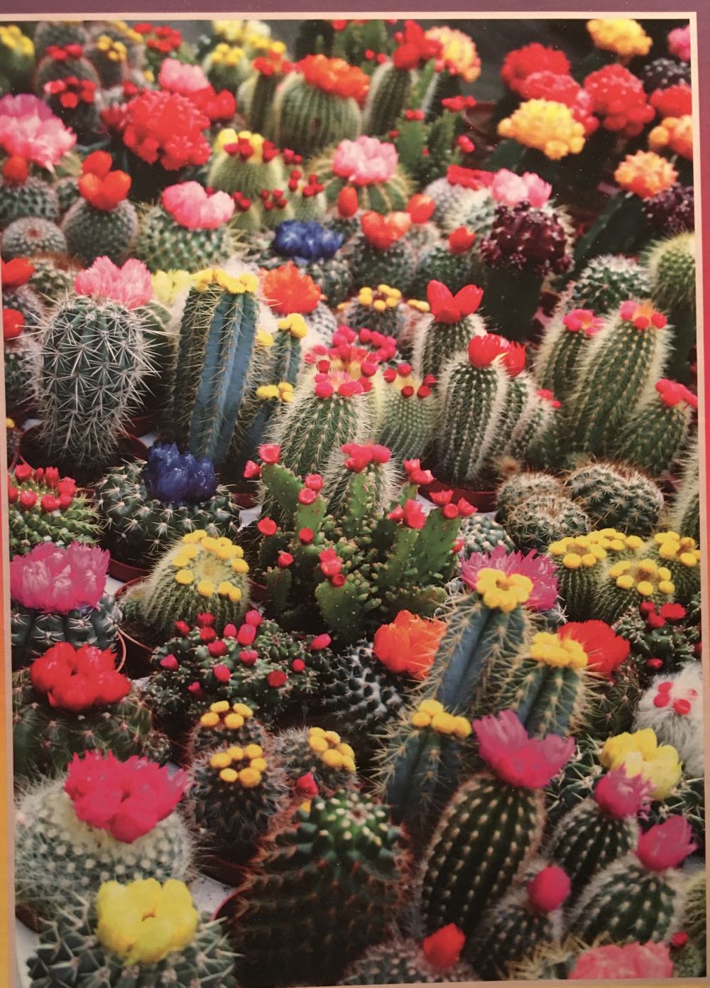 Ceaco Colors 1 : Colorful Pencils ♻️ - Ceaco puzzle collectible [Barcode 021081032131] - Main Image 3