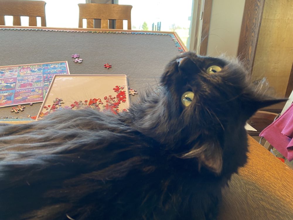 Farm Calendar - 208, 4/18/22-SOLD - White Mountain Puzzles puzzle collectible [Barcode 724819263707] - Main Image 4