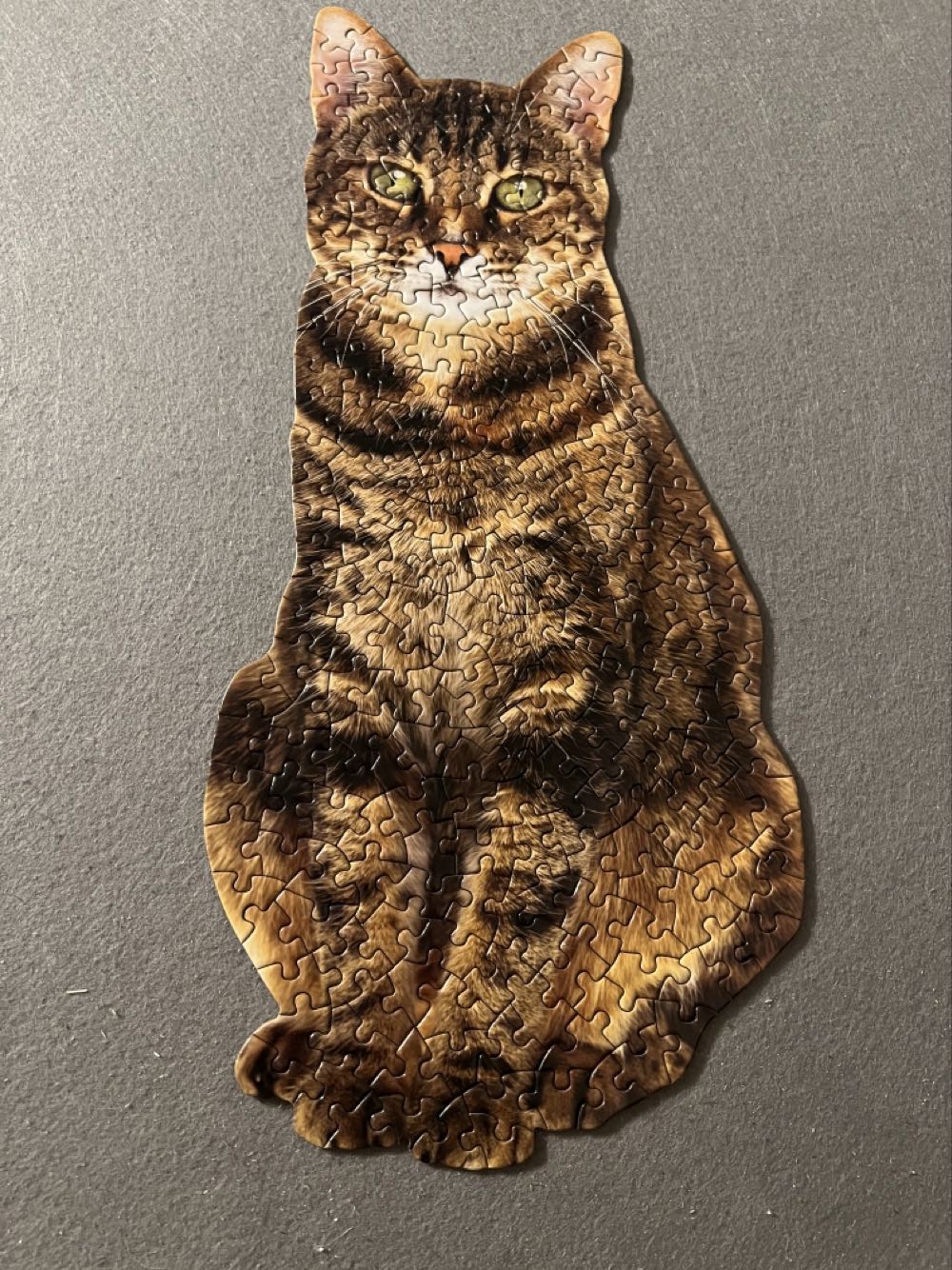 Queen Of The Stacks - Traded - Galison puzzle collectible [Barcode 9780735360136] - Main Image 2