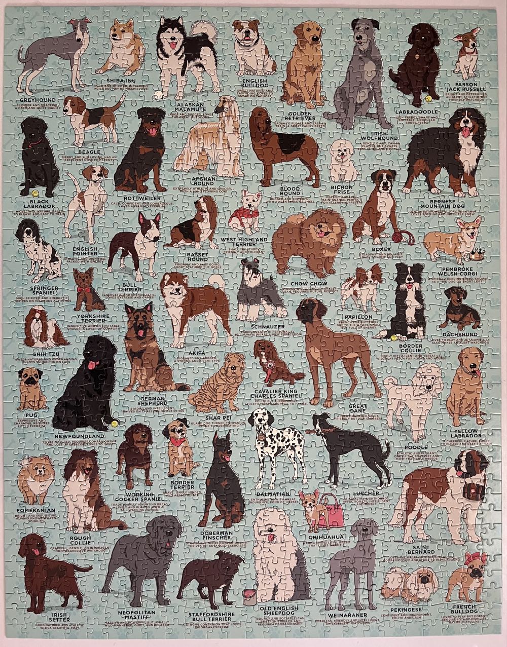 Dog Lover’s - Ridley’s puzzle collectible [Barcode 5055923726853] - Main Image 2